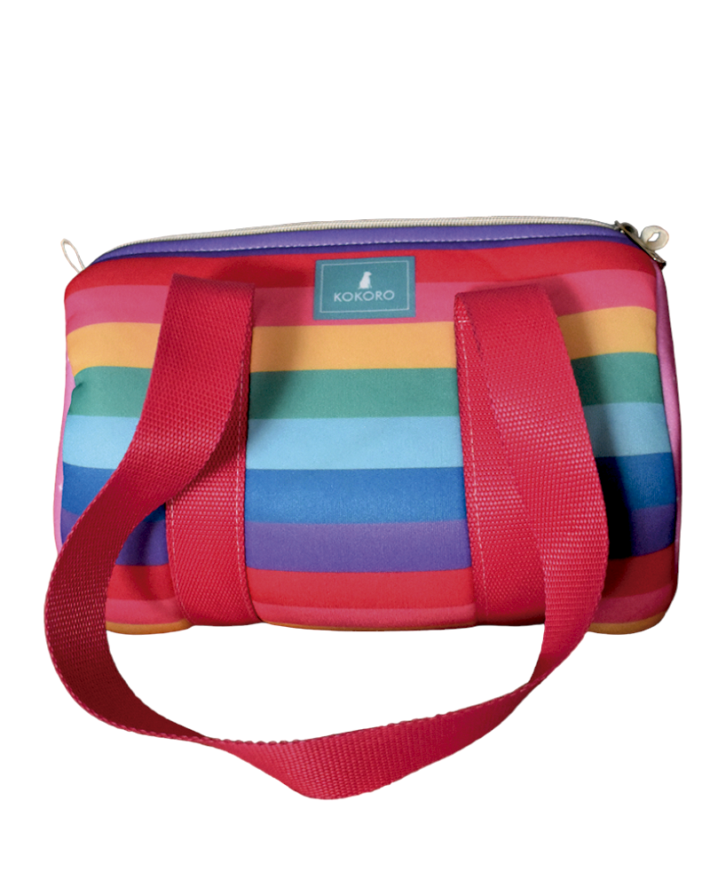 BOLSO CLUB MINI - ARCOIRIS